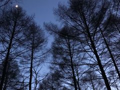 スライド写真３